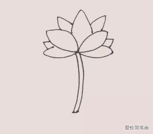 荷花简笔画