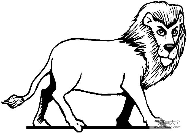 森林之王狮子简笔画图片