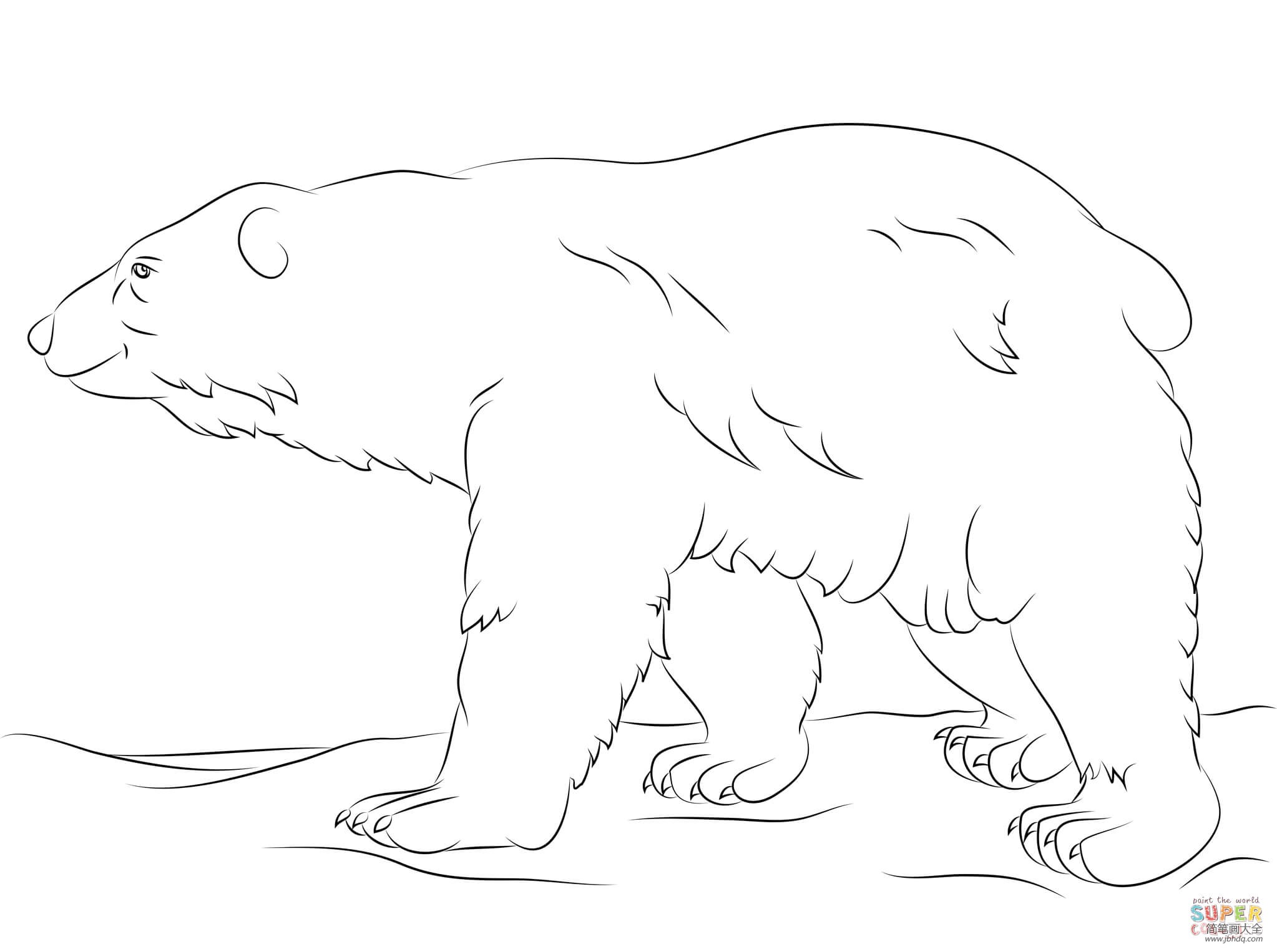 北极熊有厚厚的皮毛