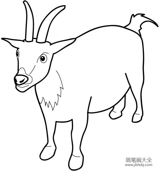 关于羊的简笔画画法
