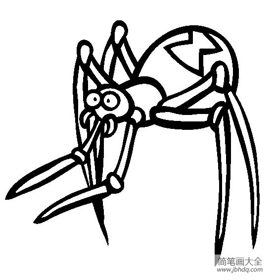 黑寡妇蜘蛛简笔画图片