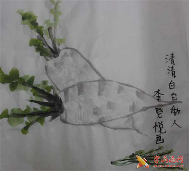 中国画白萝卜(1)