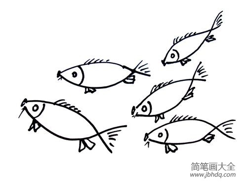 鲤鱼的简笔画画法