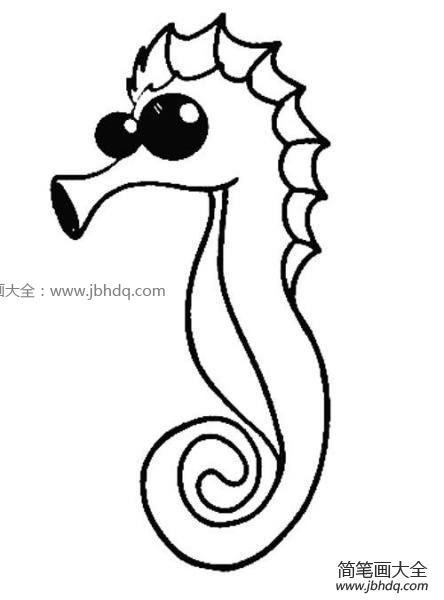 可爱的海马