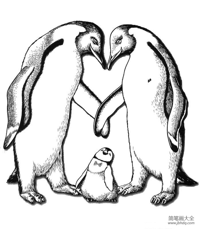 企鹅简笔画 快乐的大脚简笔画图片
