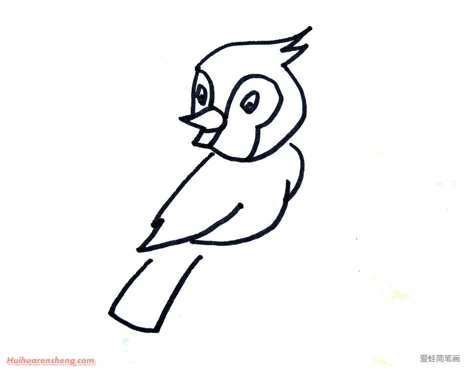 可爱的小鸟简笔画