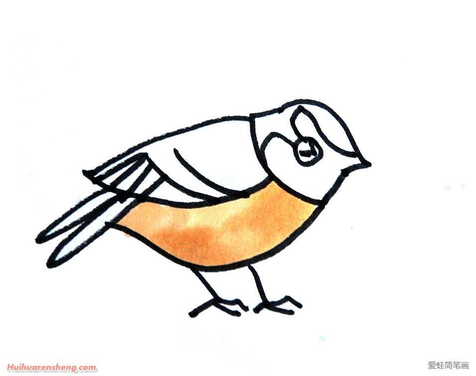 觅食的小鸟简笔画