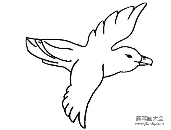 小鸟简笔画图片大全