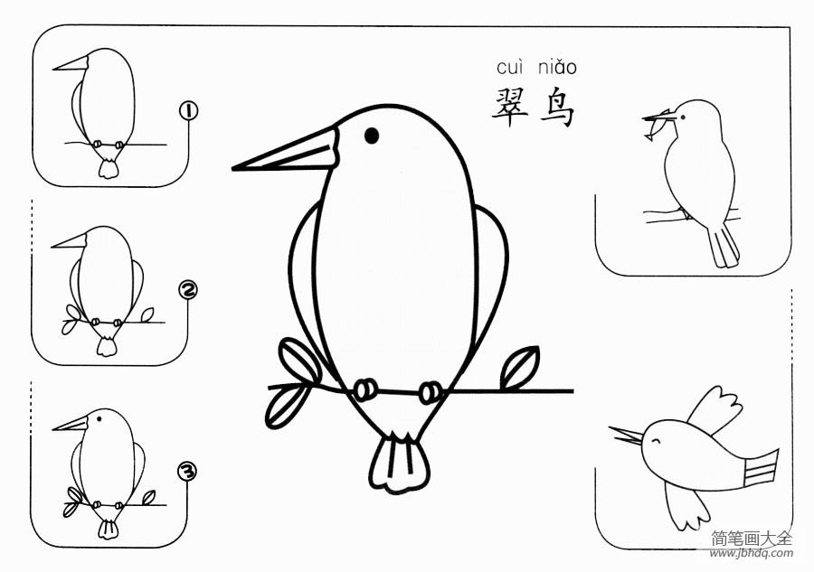 翠鸟怎么画