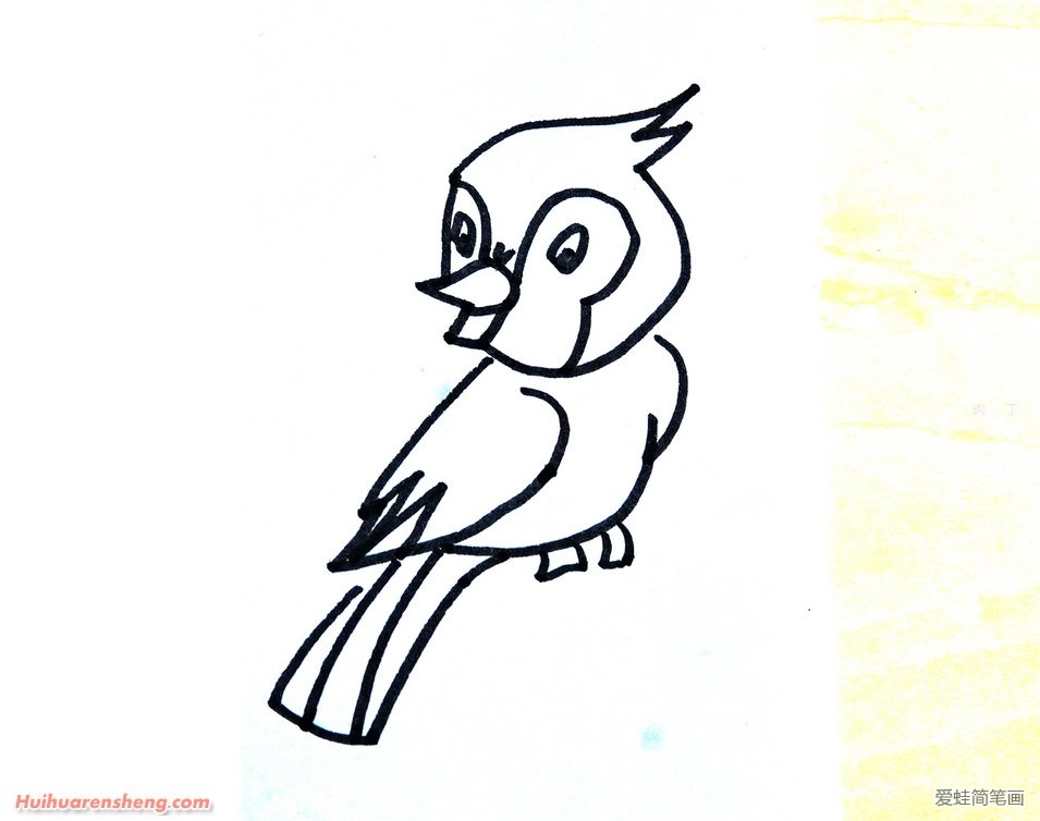 可爱的小鸟简笔画