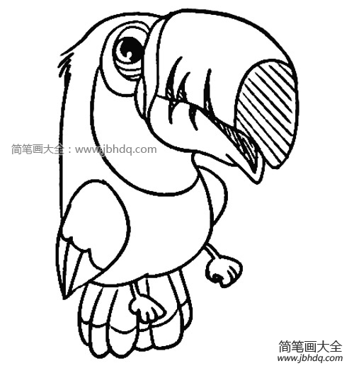 巨嘴鸟简笔画图片