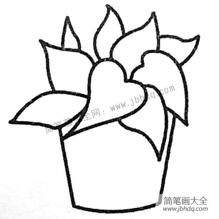 绿叶植物盆景简笔画图片