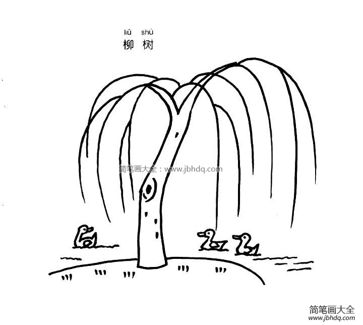 柳树简笔画图片