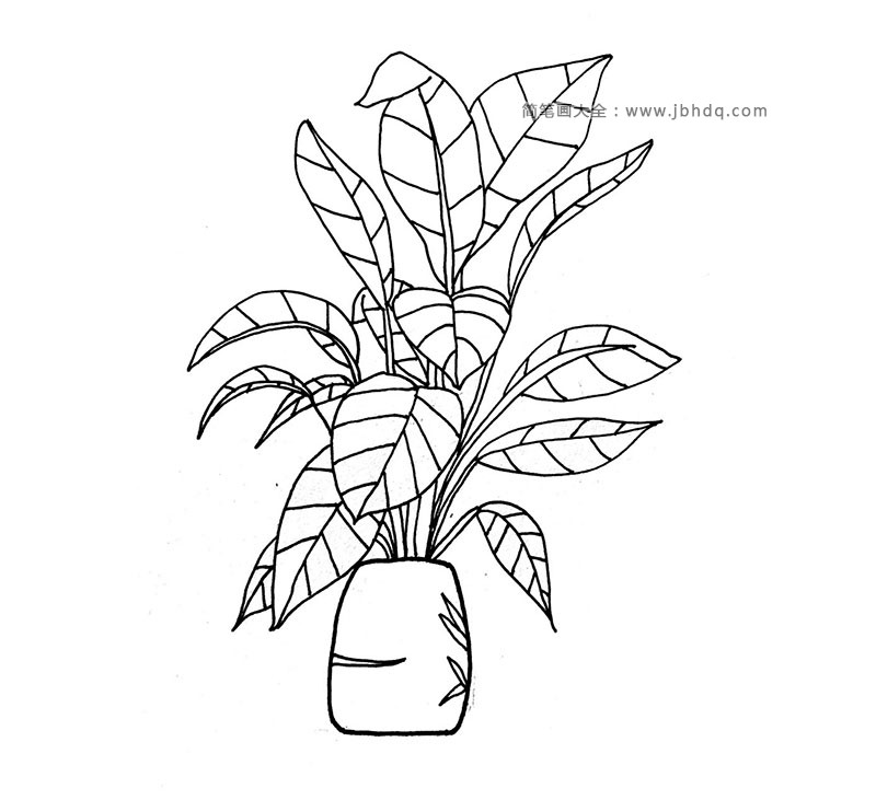 漂亮的盆栽简笔画1