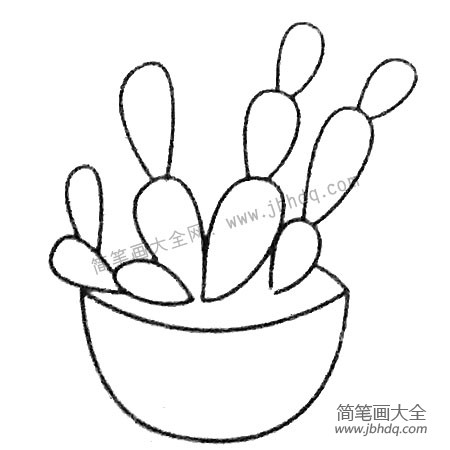 漂亮的多肉植物盆景简笔画图片