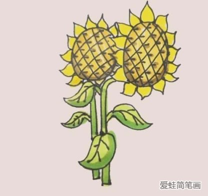 简单又漂亮的向日葵