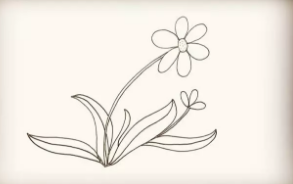 太阳花简笔画