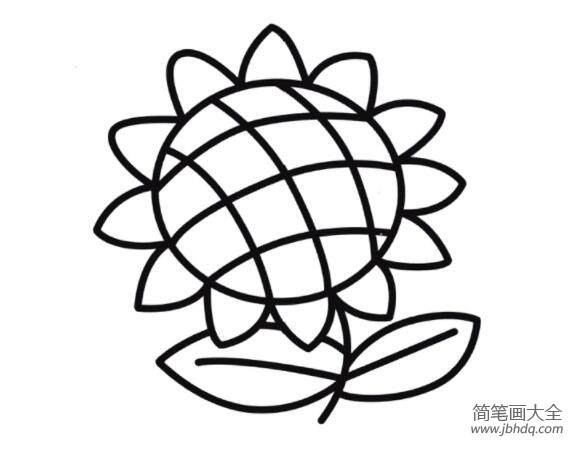 向日葵的画法