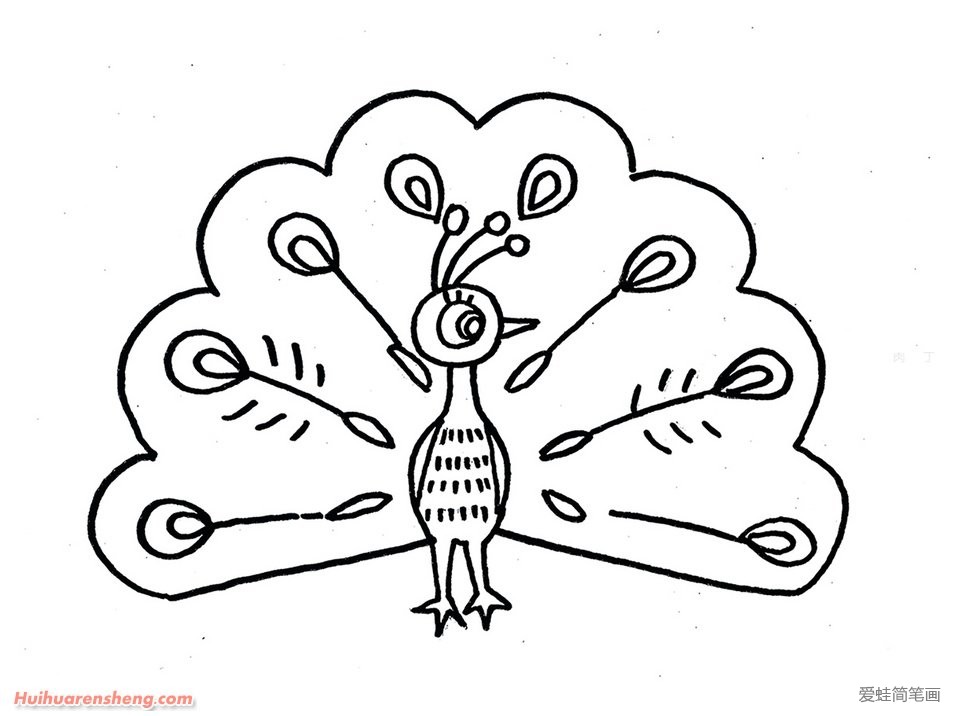 孔雀开屏简笔画