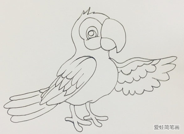 如何画鹦鹉简笔画步骤