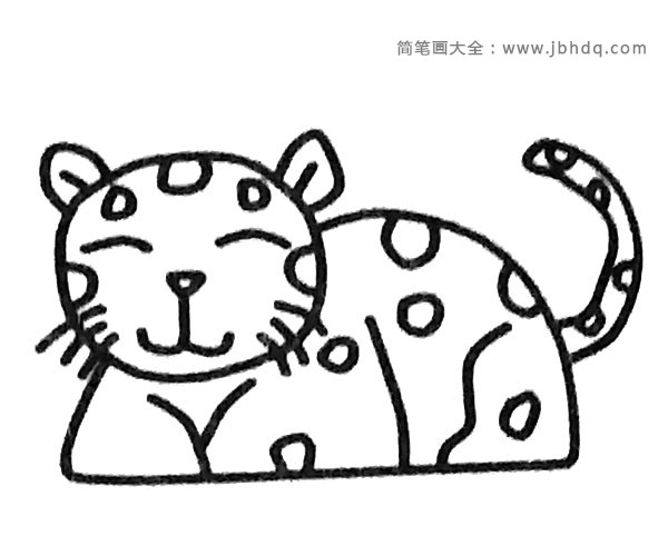 可爱的小豹子简笔画步骤4