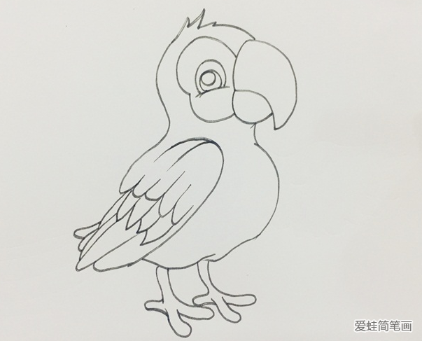 如何画鹦鹉简笔画步骤