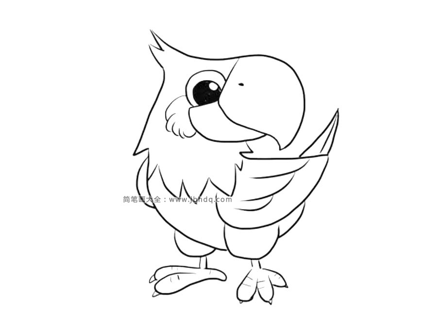 漂亮的鹦鹉简笔画