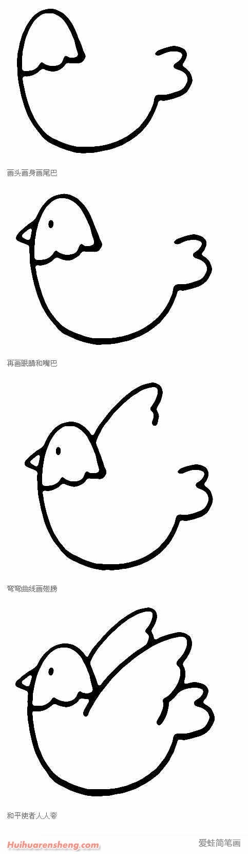 鸽子简笔画