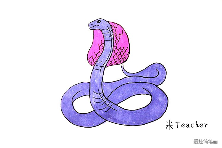 第七步：最后我们把眼镜蛇涂上自己喜欢的颜色把。