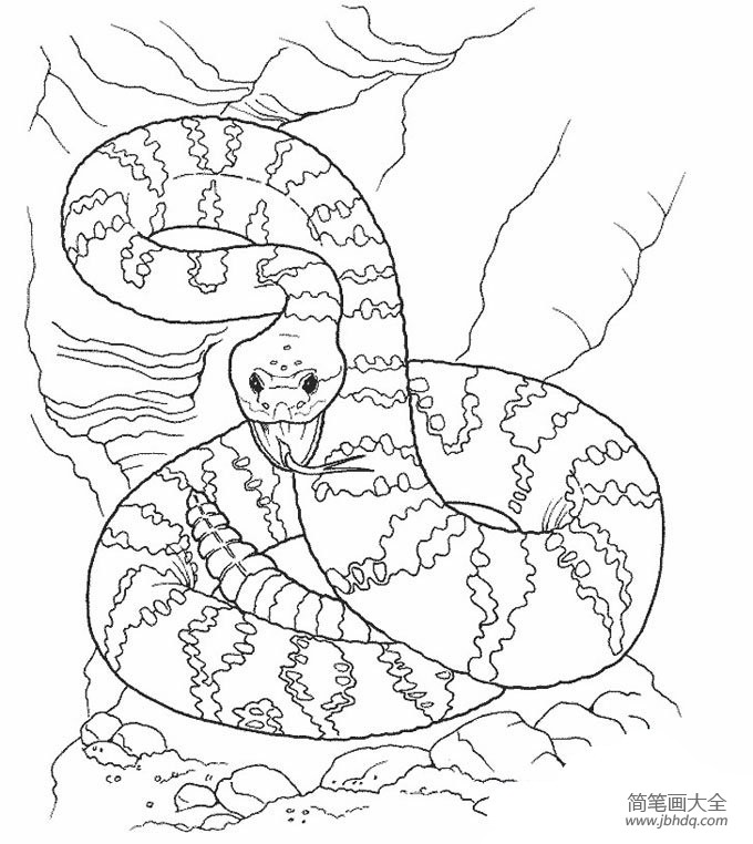 关于蛇的简笔画大全