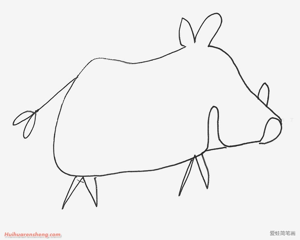 野猪简笔画