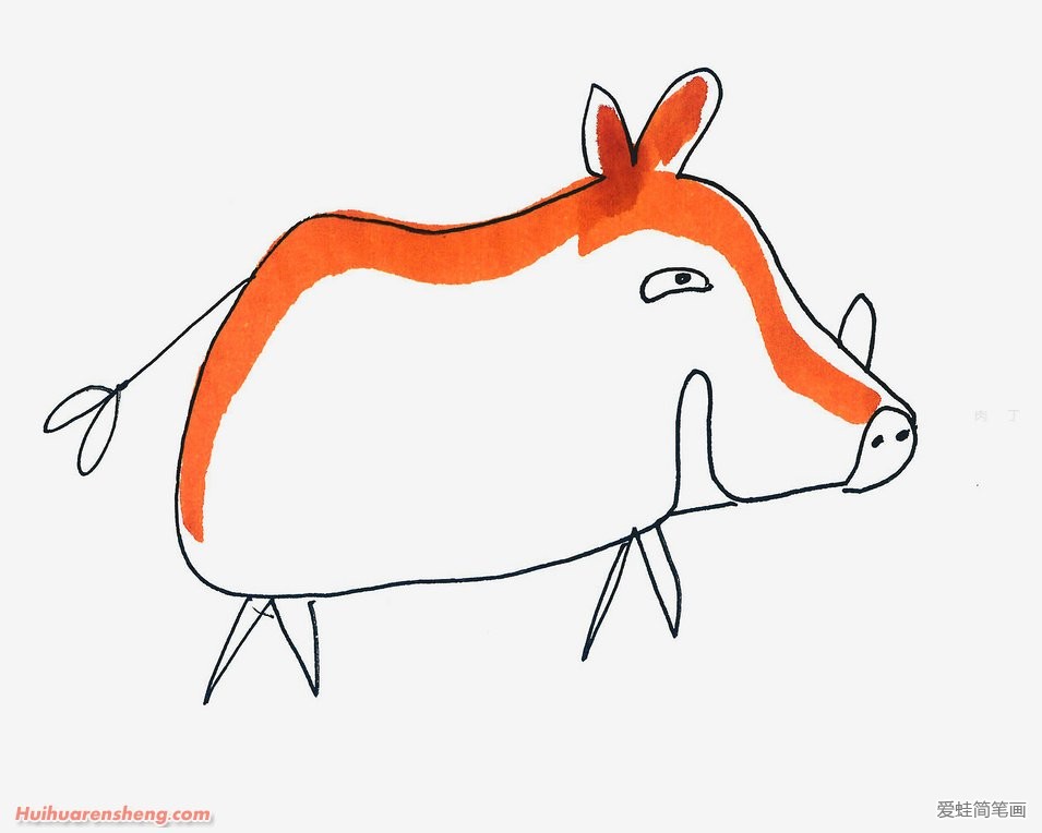 野猪简笔画