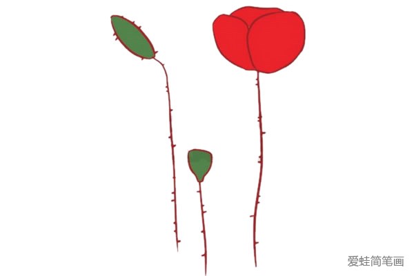 虞美人简笔画