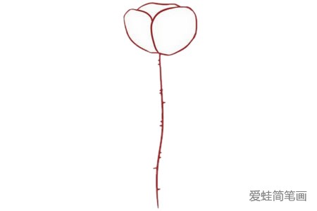 虞美人简笔画