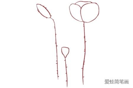 虞美人简笔画