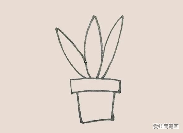虎皮兰简笔画