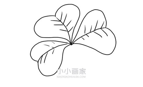 四叶草简笔画画法图片步骤