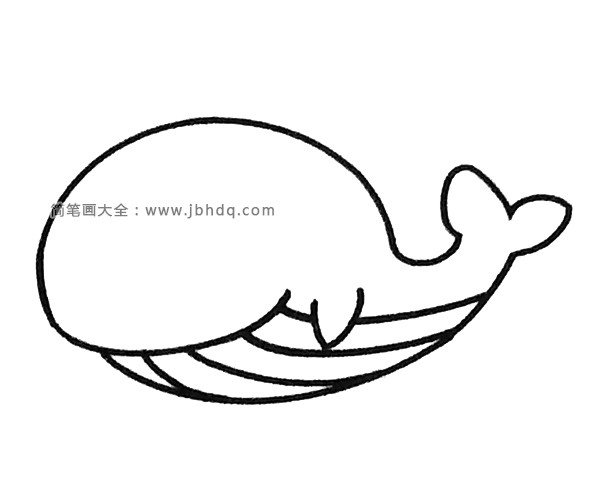 鲸鱼简笔画步骤3
