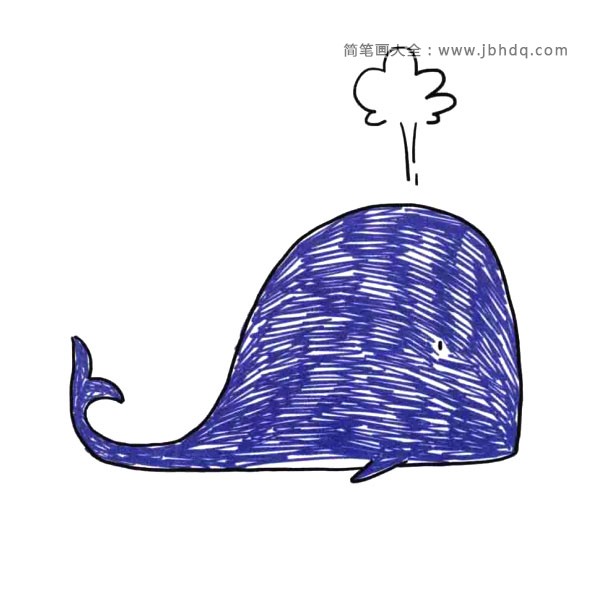 喷水的鲸鱼简笔画