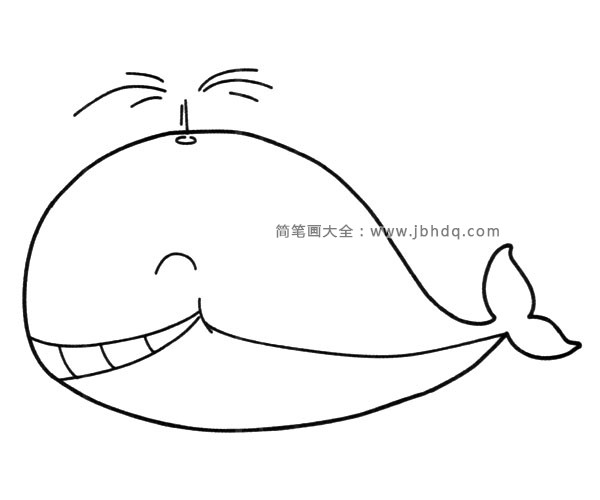 开心的鲸鱼简笔画图片