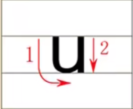 单韵母u的四线格正确写法