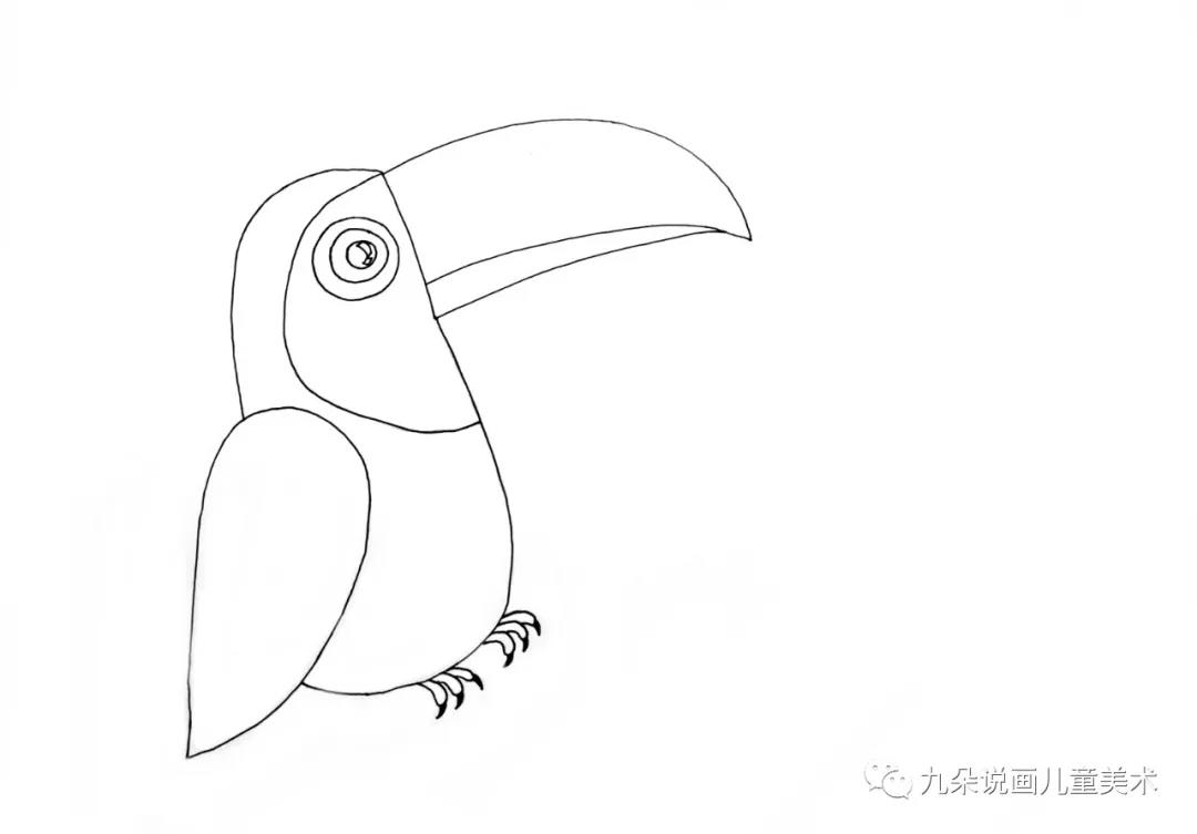 步骤2：将巨嘴鸟的身体画出，尾巴暂时先不画，那是因为等会要画树枝，和尾巴会有遮挡，所以要画完树枝以后再将尾巴补上。