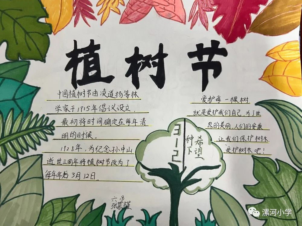 植树节系列活动手抄报—播种绿色梦想-图4