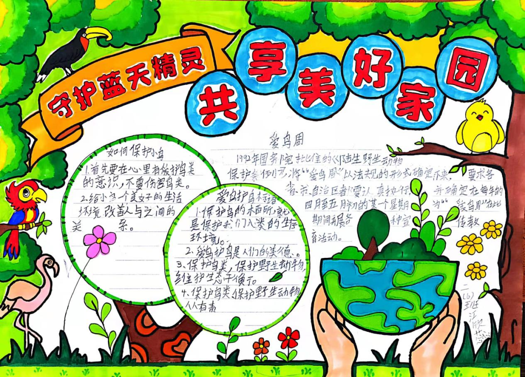 小学爱鸟护鸟从我做起手抄报-图2