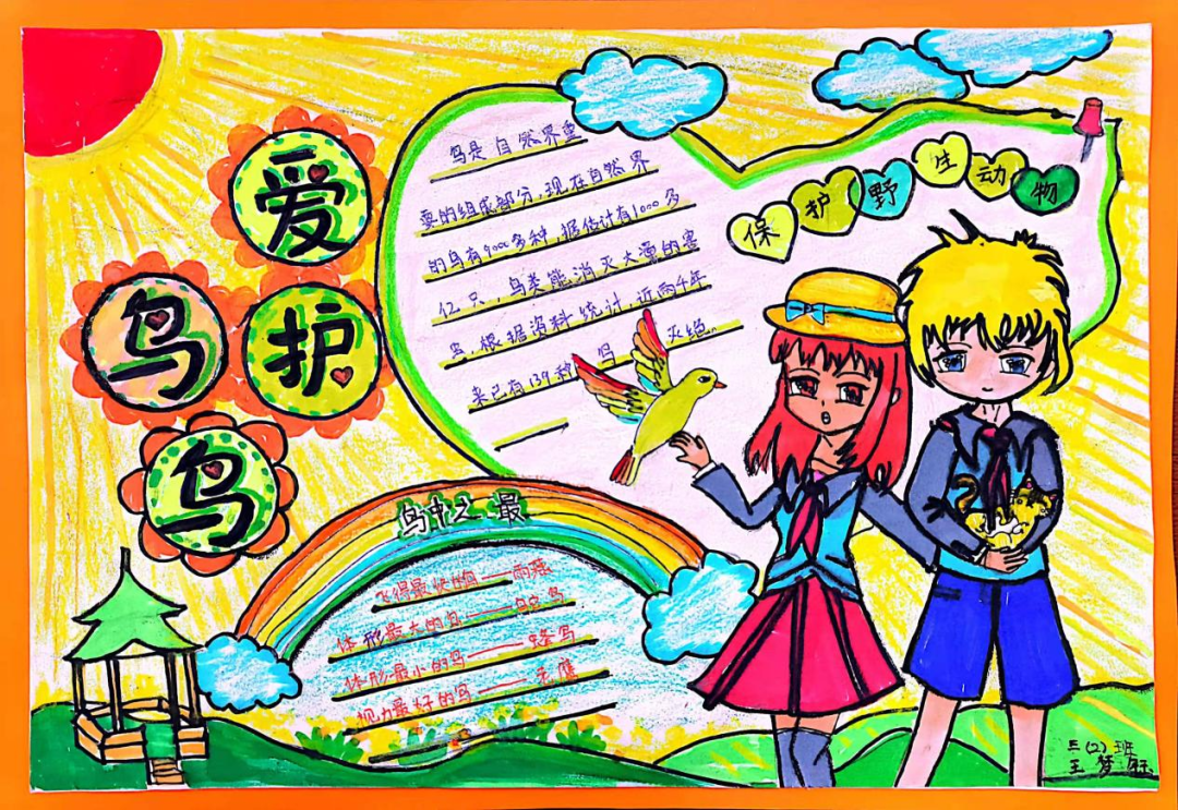 小学爱鸟护鸟从我做起手抄报-图5