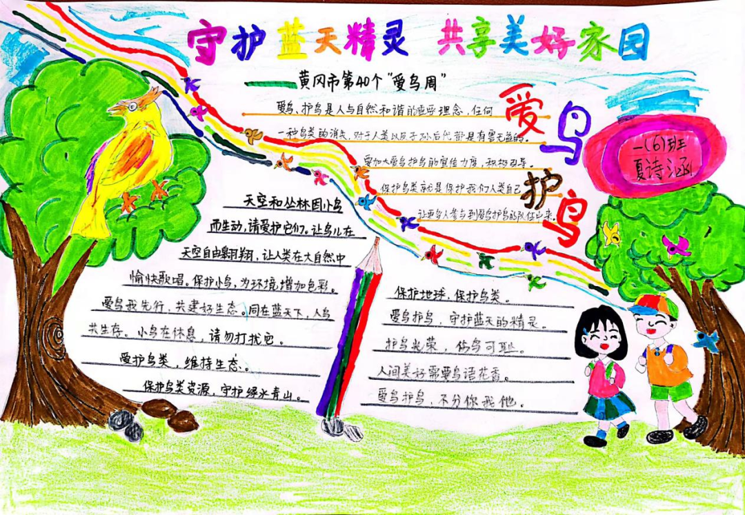 爱鸟周主题手抄报—守护蓝天精灵 共享美好家园-图4