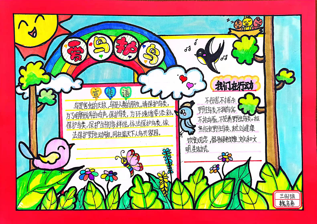小学爱鸟护鸟从我做起手抄报-图7