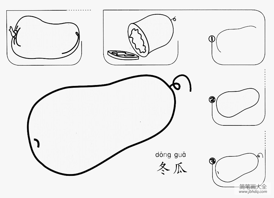 冬瓜怎么画