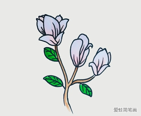 玉兰花简笔画