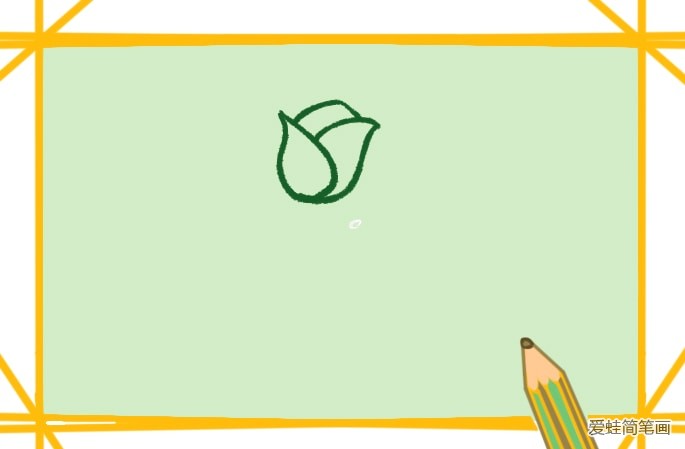 郁金香简笔画